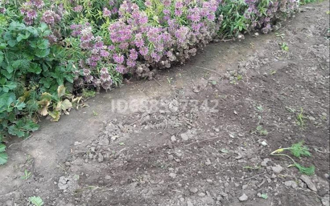 Дача с участком в 6 сот., Семей  - photo 6