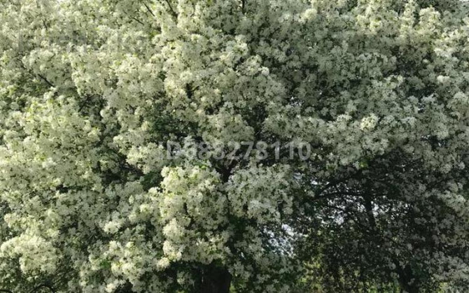 Дача с участком в 6 сот., За куленовкой Ust-Kamenogorsk - photo 2