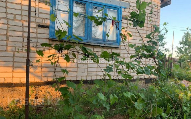 Дача с участком в 6 сот., Природа Усть-Каменогорск - изображение 2