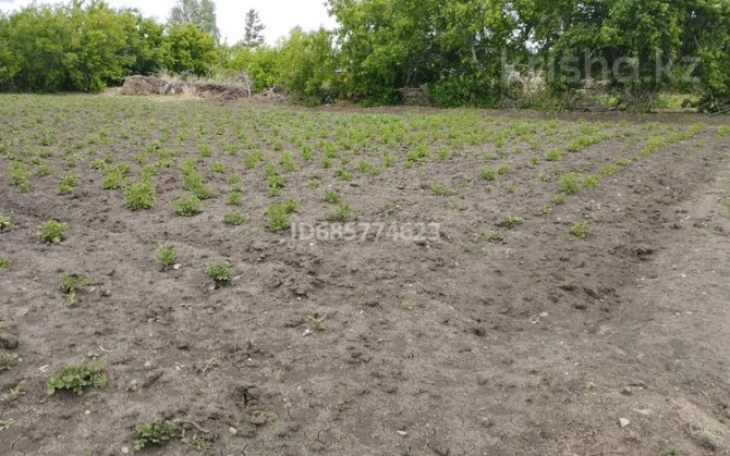 4-комнатный дом, 81.8 м², 2430 сот., Карагайская 28  - photo 2