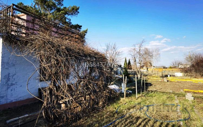 Дача с участком в 12 сот., Вишнёвая 9 Павлодар - изображение 2