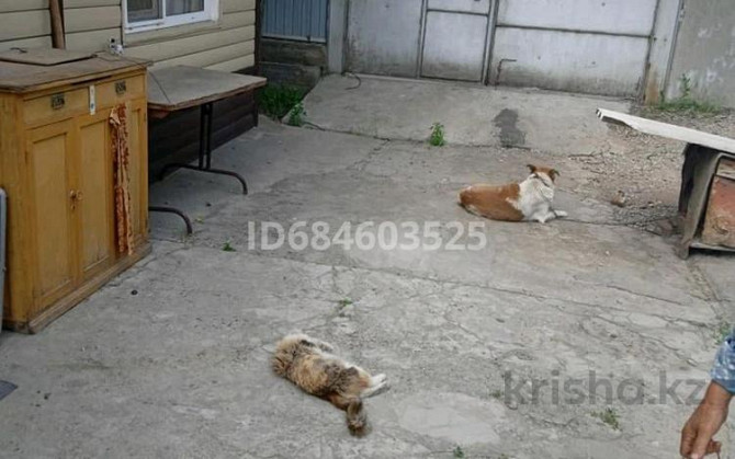 Дача с участком в 6 сот., мкр Кайтпас 1 - Кайнар булат Шымкент - изображение 2