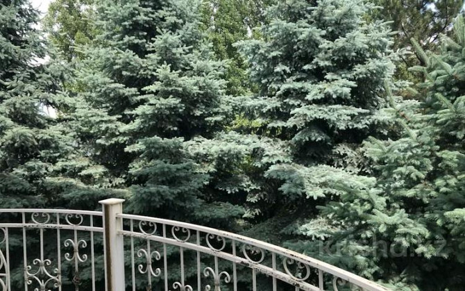 10-комнатный дом, 743.2 м², 24 сот., мкр Хан Тенгри, Тарлан 30 Алматы - изображение 8