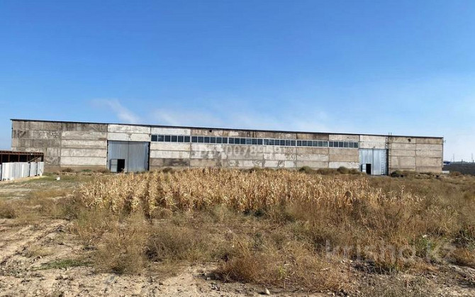 Промбаза 1 га, Толе би 1000 — Толе би- объездная дорога Тараз - изображение 4