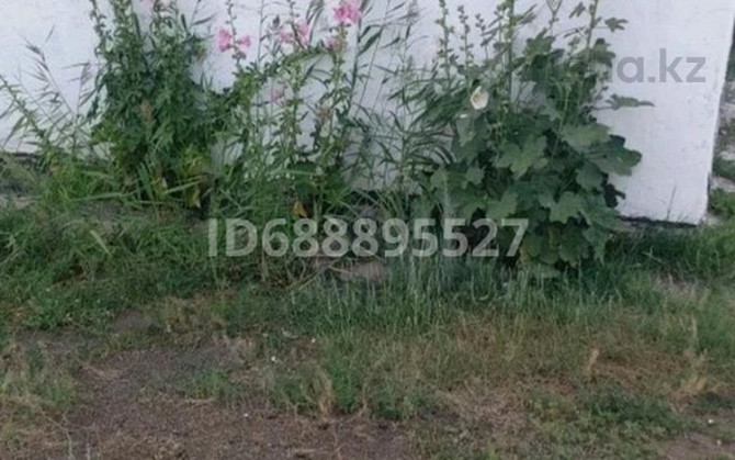 4-комнатный дом, 140 м², 24 сот., Абая 20  - изображение 3