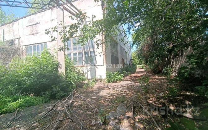 Завод 0.5361 га, Мичурина 4 Shchuchinsk - photo 4