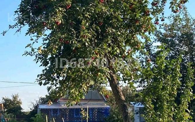 Дача с участком в 3.8 сот., Мичурина садовое общество Первенец - ул цветочная 70 Петропавловск - изображение 2