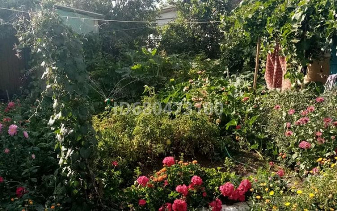 4-комнатный дом, 100 м², 9 сот., Королева 12  - photo 2
