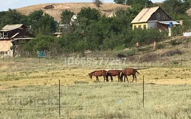 Дача с участком в 6 сот., Энергетик - Турарские дачи  - photo 7