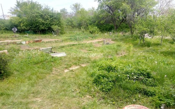 Дача с участком в 12 сот., Турарские дачи Турар 88  - photo 3