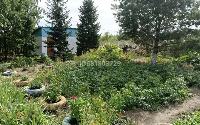 Дача с участком в 10 сот., Саяжай 200 Усть-Каменогорск - изображение 7
