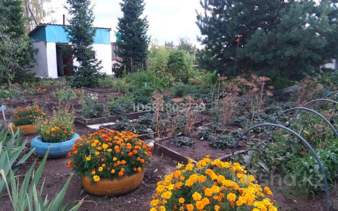 Дача с участком в 10 сот., Саяжай 200 Усть-Каменогорск - изображение 2