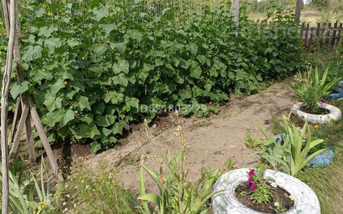 Дача с участком в 10 сот., Саяжай 200 Усть-Каменогорск - изображение 5