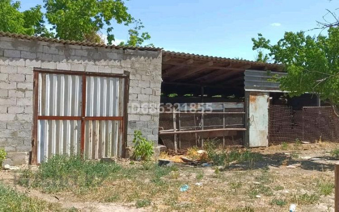 Дача с участком в 19 сот., Южная Тараз - изображение 2