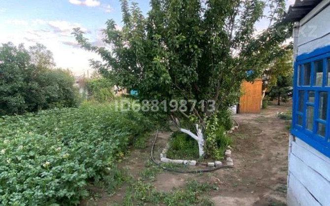 Дача, Бабровка 2дачи 4899 Семей - изображение 5