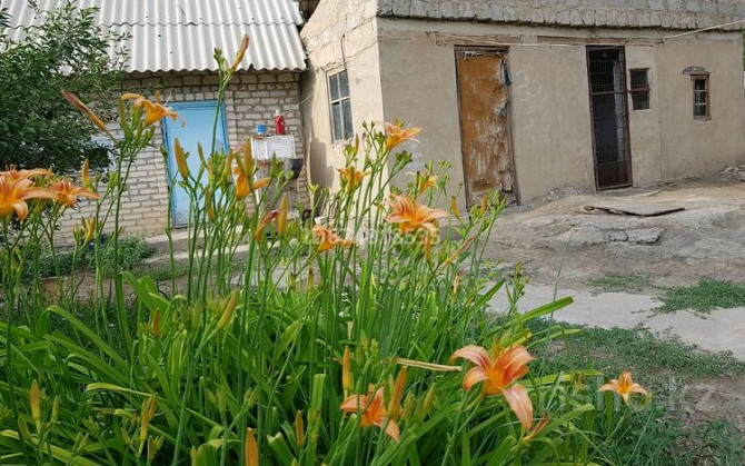Дача с участком в 7 сот., ПМК-66 Кызылорда - изображение 4