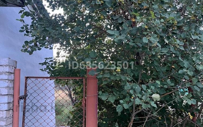 Дача с участком в 12 сот., Восточный правый 111111 Semey - photo 6