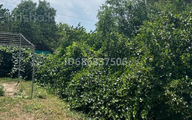 Дача с участком в 10 сот., Яблочная 23  - photo 5