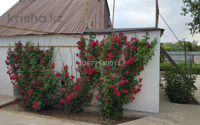 Дача с участком в 16 сот., Спектр 49/50  - photo 1
