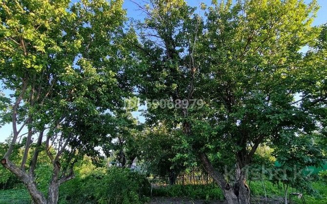 Дача с участком в 8 сот., Кожевник 30 Oral - photo 8