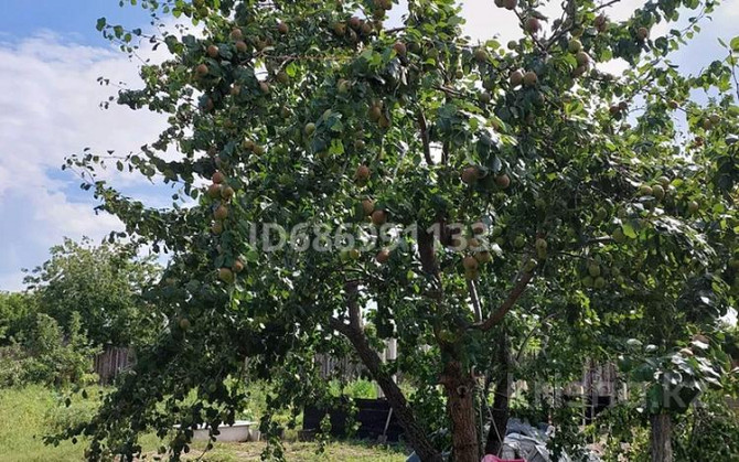 Дача с участком в 10 сот., СО Автомобилист 26 - 33 улица Kostanay - photo 6