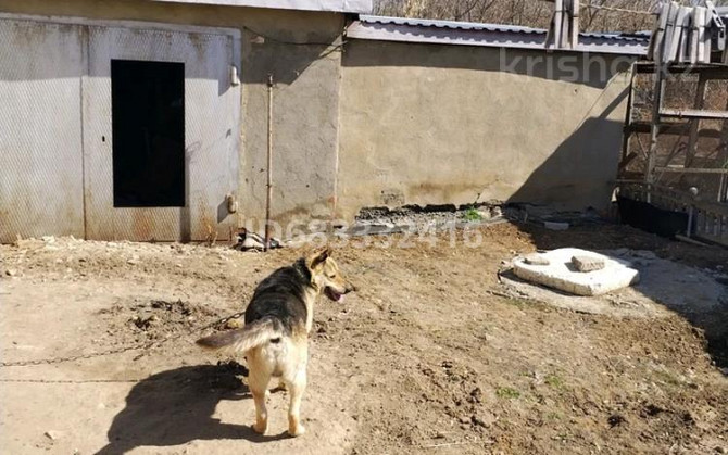 4-комнатный дом, 62 м², 6 сот., 3а мик-он 19 - Ленина Житикара - изображение 3