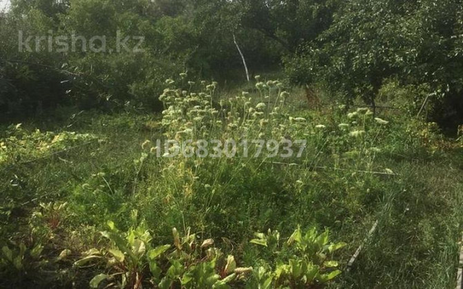 Дача с участком в 8 сот., «Геолог» Kostanay - photo 7
