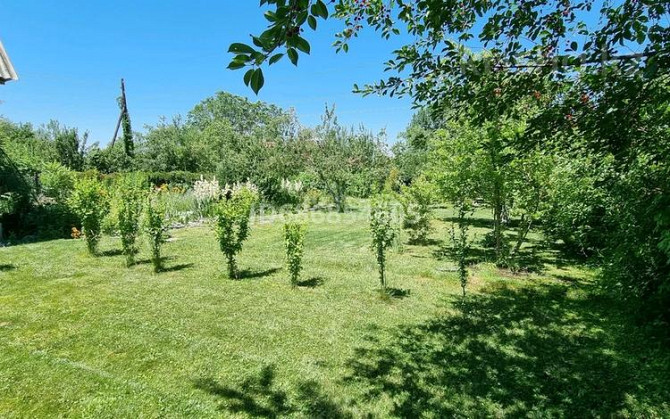 Дача с участком в 9 сот., Виноградная 106  - photo 5
