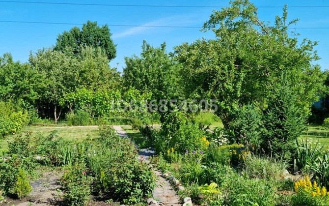 Дача с участком в 9 сот., Виноградная 106  - photo 3