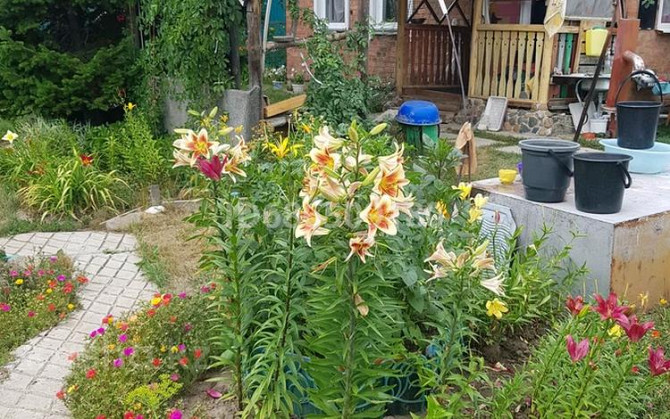 Дача с участком в 6 сот., Ахмирово 439 Усть-Каменогорск - изображение 5