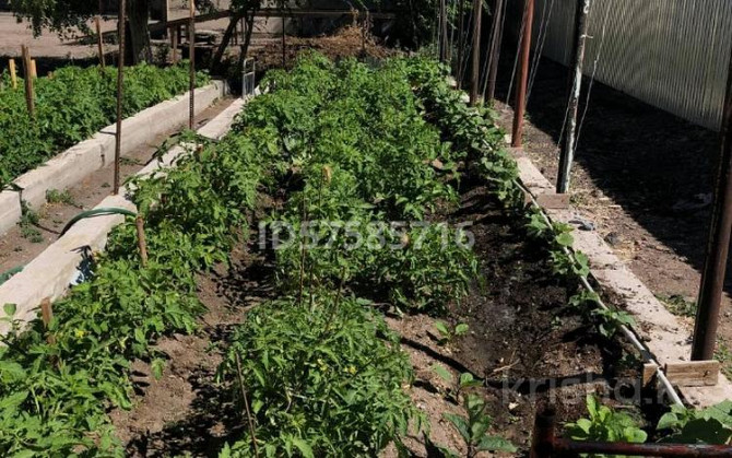 10-комнатный дом, 333.3 м², 20 сот., Тауелсиздик (Центральная) 2/1 Priozersk - photo 6