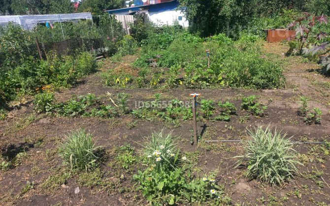 Дача с участком в 6 сот., Глубоковский район Усть-Каменогорск - изображение 6