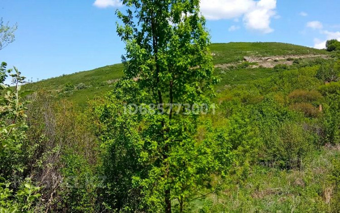 Дача с участком в 6 сот., С/т Ульбинка-1 126  - photo 4