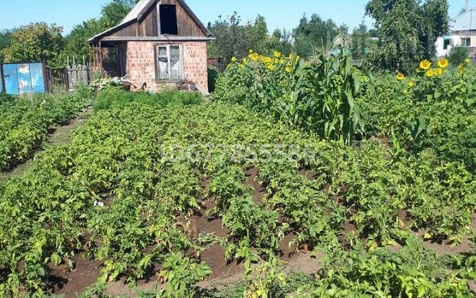 Дача с участком в 6 сот., Р-н Тойота центр 12 - Садоводство Весна улица Сливовая 12 Pavlodar - photo 1