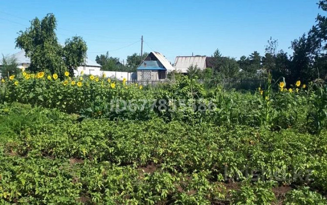 Дача с участком в 6 сот., Р-н Тойота центр 12 - Садоводство Весна улица Сливовая 12 Pavlodar - photo 4