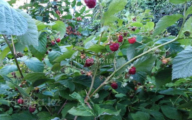 Дача с участком в 6 сот., Акжар 1 Aqtobe - photo 8