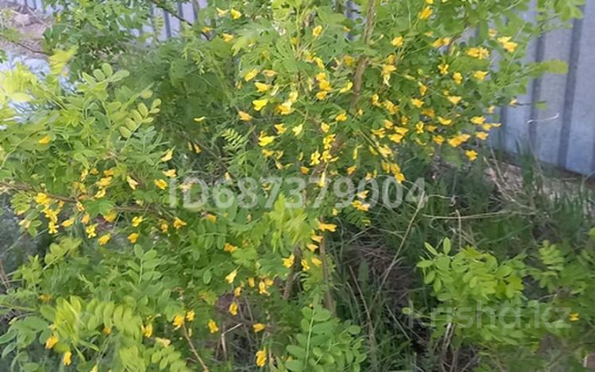 4-комнатный дом, 141 м², 10 сот., 2 10  - photo 6