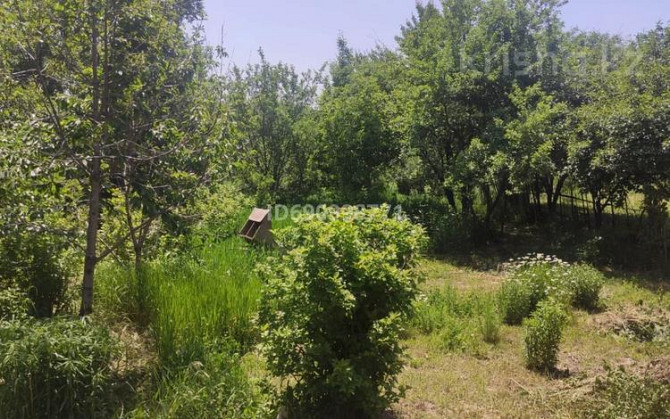2-комнатный дом, 50 м², 8 сот., Карасай  - изображение 6