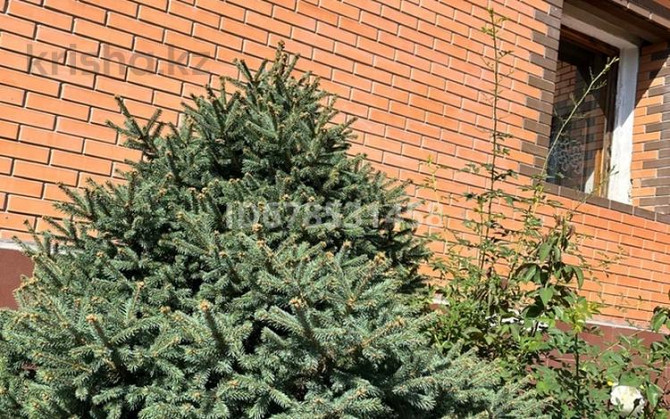 4-комнатный дом, 130 м², 10 сот., Шашкина 21 - Беркимбаева Экибастуз - изображение 1