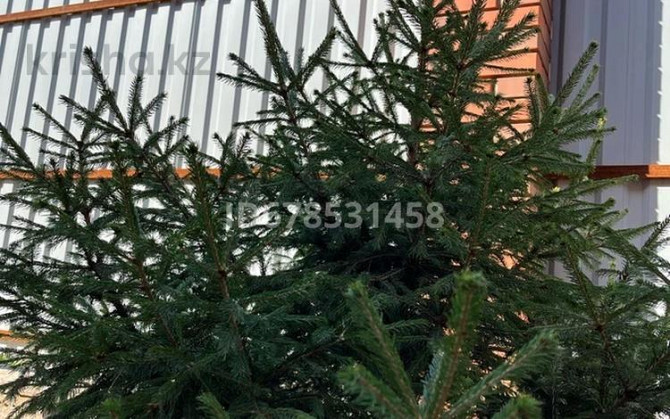 4-комнатный дом, 130 м², 10 сот., Шашкина 21 - Беркимбаева Экибастуз - изображение 3