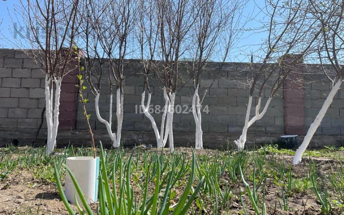 4-комнатный дом, 108 м², 12 сот., Есіл 5/2  - photo 2