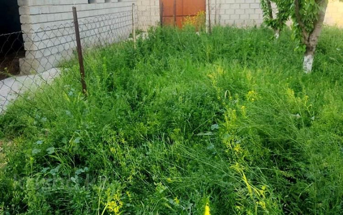 3-комнатный дом, 80 м², 12 сот., Село Шубарсу 1111 Шубарсу - изображение 5