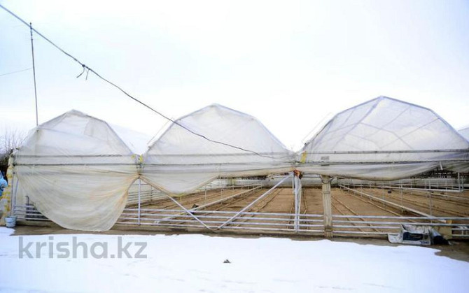 4-комнатный дом, 200 м², 40 сот., 3 Наурыз - Не доезжая Алишер мост  - photo 8