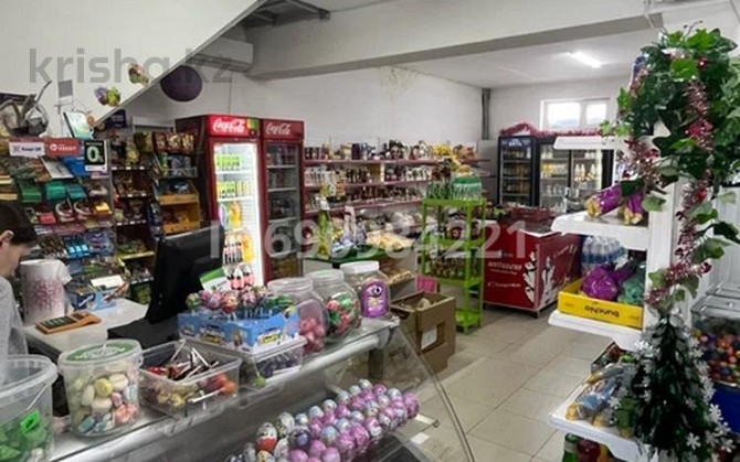 6-комнатный дом, 340 м², 15 сот., Республика 33  - изображение 4
