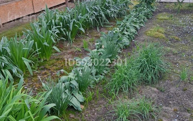 6-комнатный дом, 150 м², 12 сот., Тойшибекова 42  - photo 3