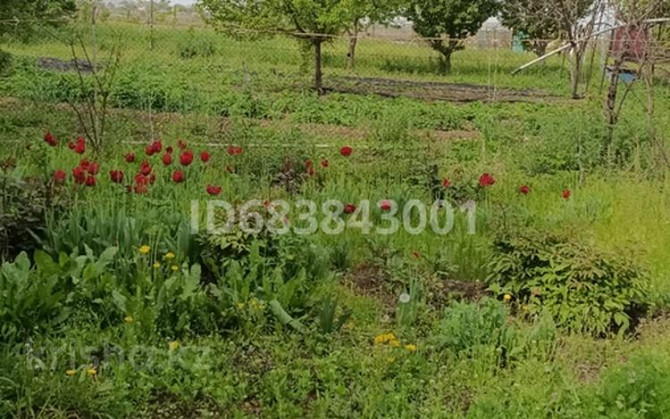 6-комнатный дом, 120 м², 20 сот., Бухар жырау 57 Shardara - photo 5