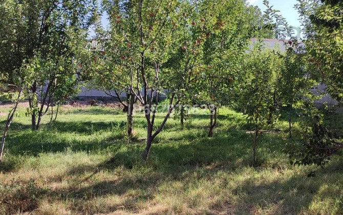 6-комнатный дом, 110 м², 12 сот., Дауан ауылы.. Аль фараби 73  - изображение 7