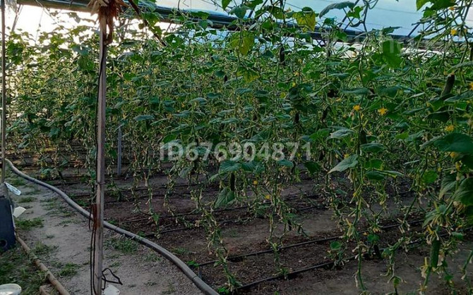 3-комнатный дом, 100 м², 10 сот., Шаңырак мкр 247 - Арай жақтағы жаңа көпір мен баратын жолда орнала Тараз - изображение 8