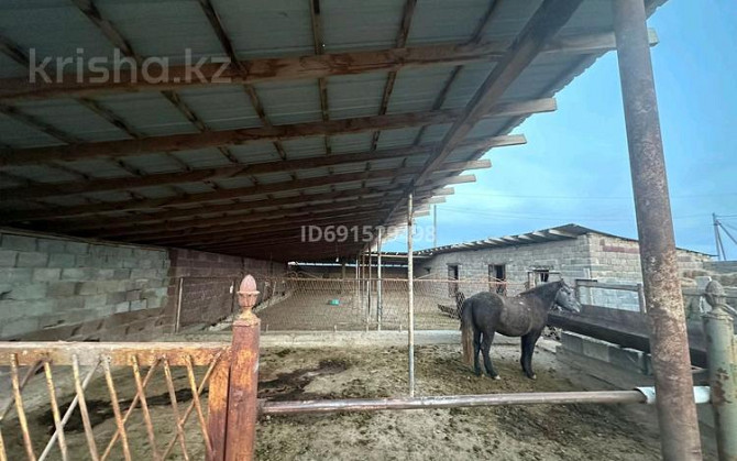 8-комнатный дом, 1000 м², 30 сот., Бирказан ауылы 17 - Фазенда Кызылорда - изображение 2