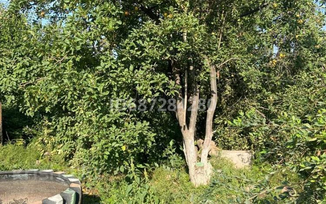 3-комнатный дом, 72 м², 19 сот., Сат Момбай 2  - photo 4